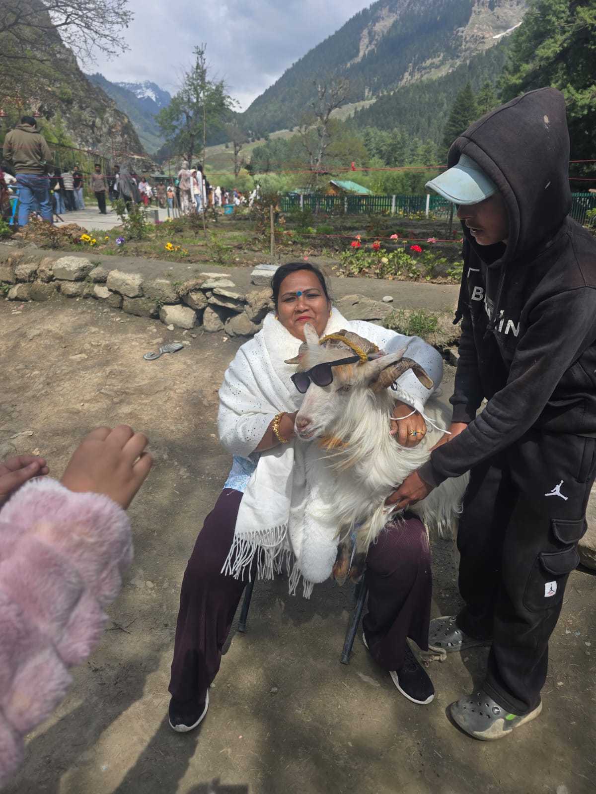 Traveler enjoying Kashmir tour with Pashmina goat